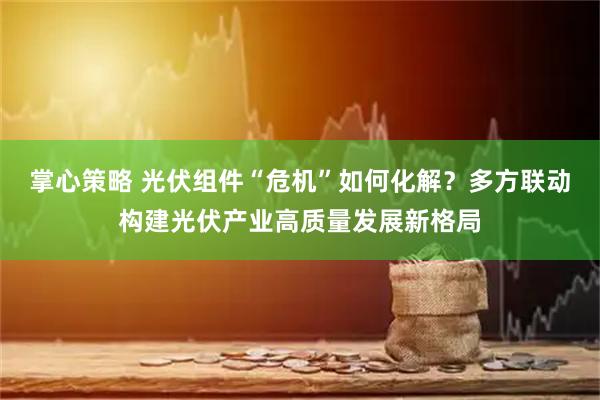掌心策略 光伏组件“危机”如何化解？多方联动构建光伏产业高质量发展新格局