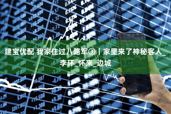 建宝优配 我家住过八路军③｜家里来了神秘客人_李环_怀来_边城