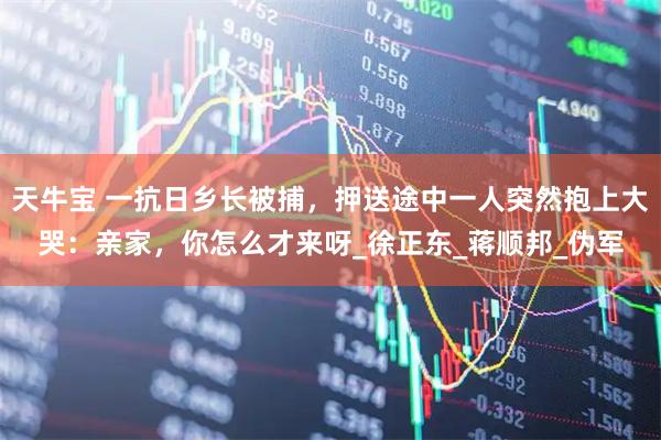天牛宝 一抗日乡长被捕，押送途中一人突然抱上大哭：亲家，你怎么才来呀_徐正东_蒋顺邦_伪军