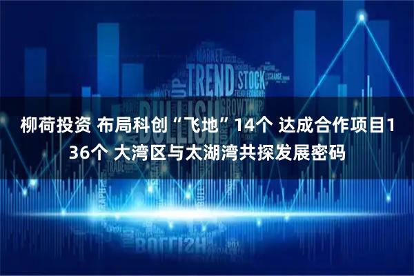 柳荷投资 布局科创“飞地”14个 达成合作项目136个 大湾区与太湖湾共探发展密码