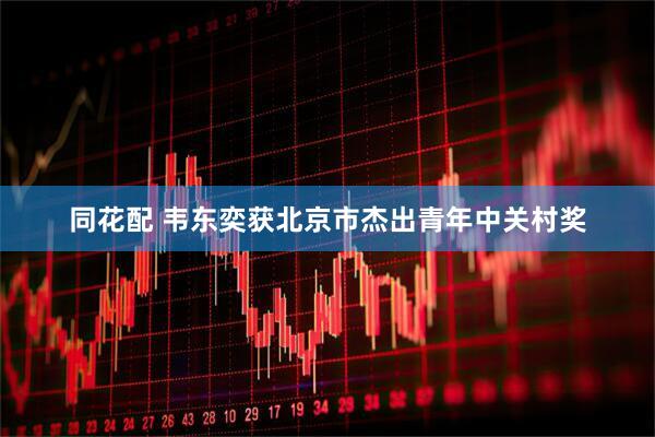 同花配 韦东奕获北京市杰出青年中关村奖